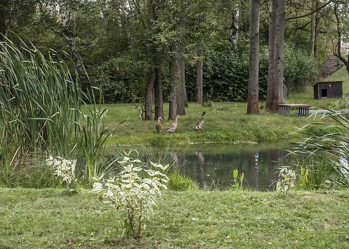 酒店 尤帕库酒店 *
